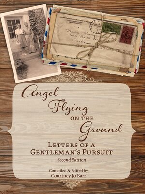 cover image of Angel Flying on the Ground